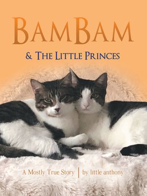 cover image of Bambam & the Little Princes